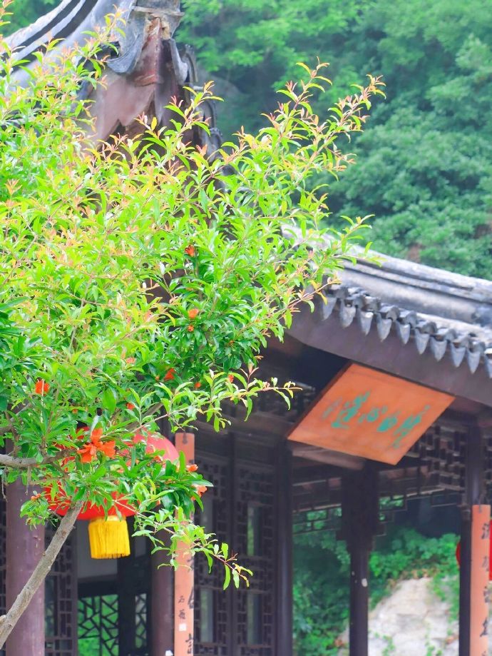 “夏”一站，去石公山撒欢