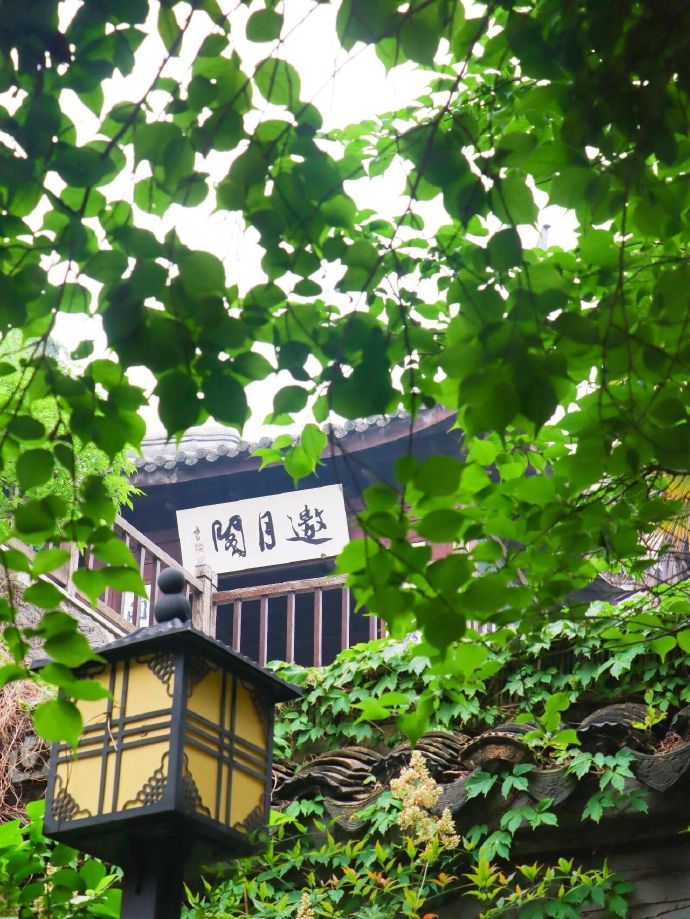 “夏”一站，去石公山撒欢