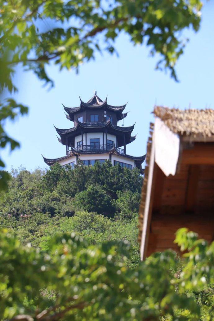绿意渐浓！西山岛开启“护眼模式”