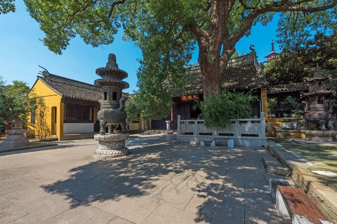 来光福，与千年古树共度一夏~