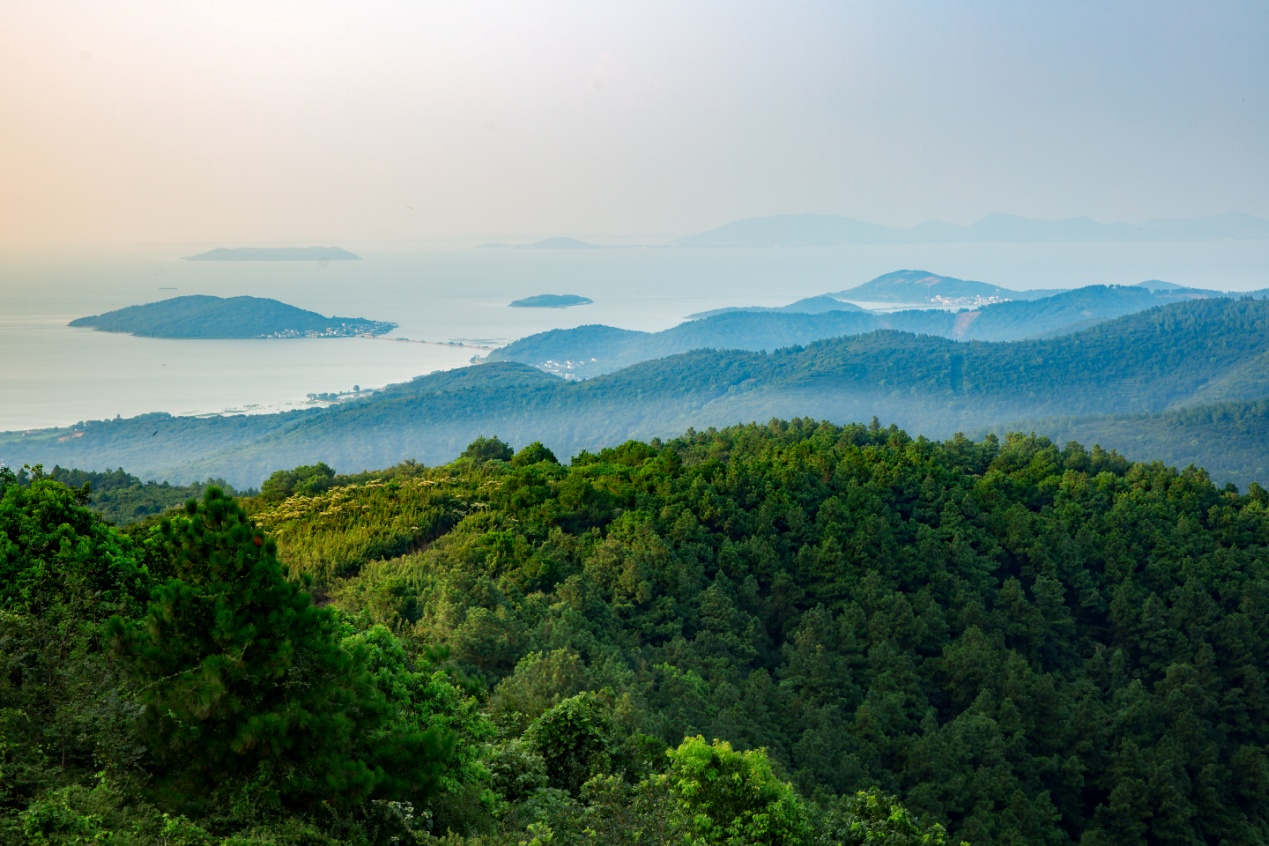 “粽”情太湖！沿着一号公路，赴东山、西山清凉一夏~