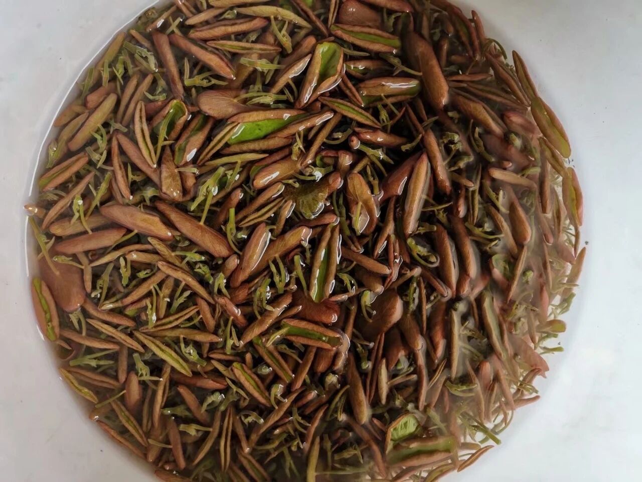 夏日，就要吃这口滑溜溜~