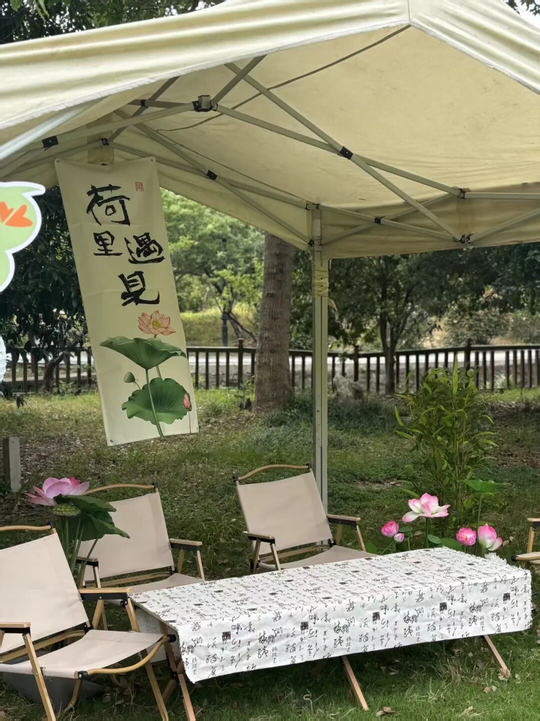 “荷”你相约！西山岛全点位赏荷、品荷攻略来啦~