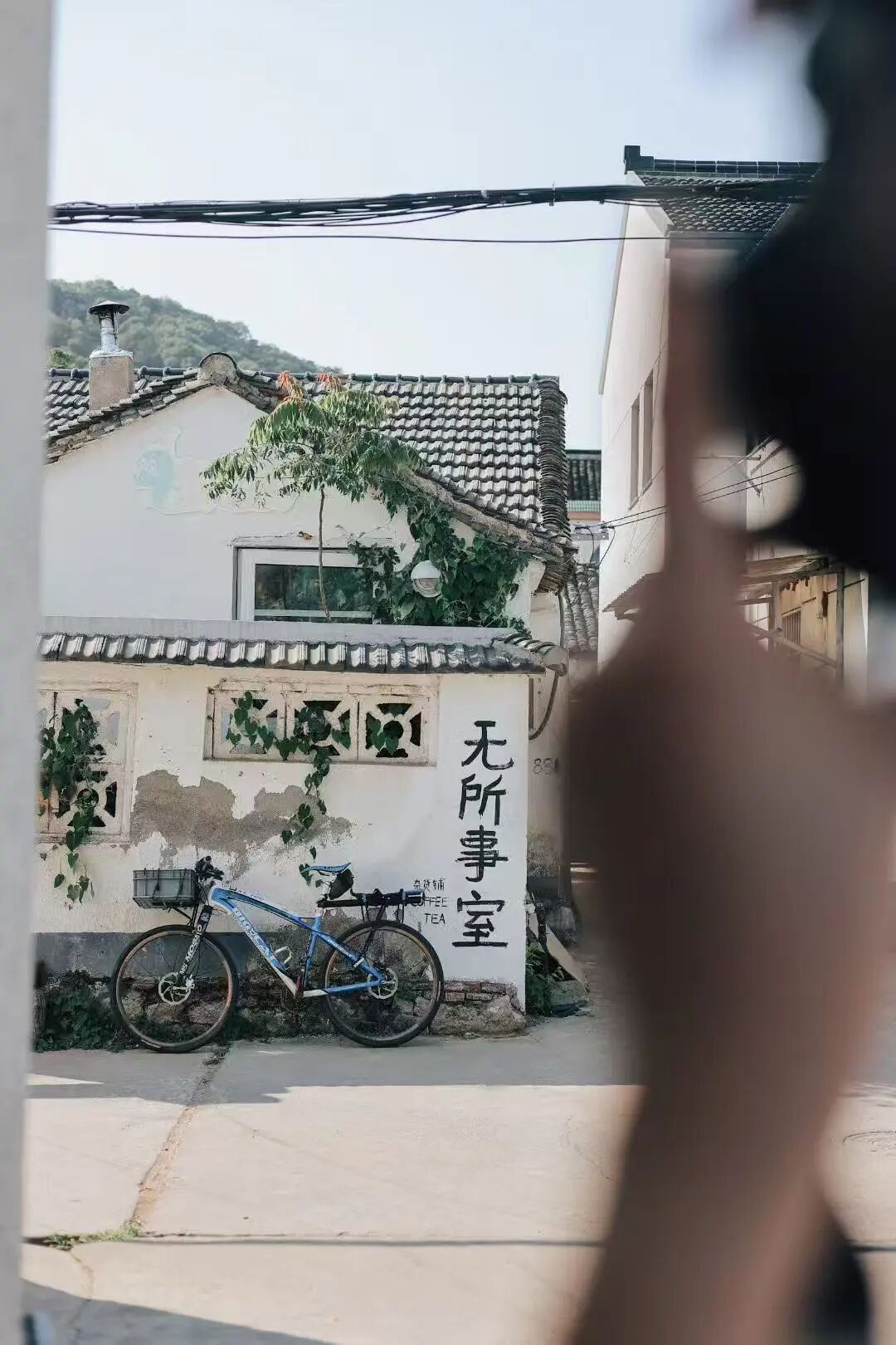 西山岛，“啡”常好喝wow~