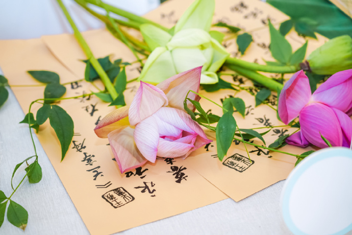 荷风送爽，沪苏有约！2026苏州吴中夏日嘉年华赴沪推介