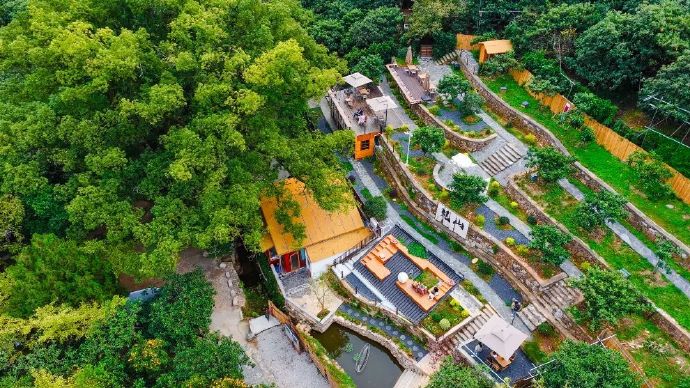 循着香气，来西山岛喝一杯“太湖”