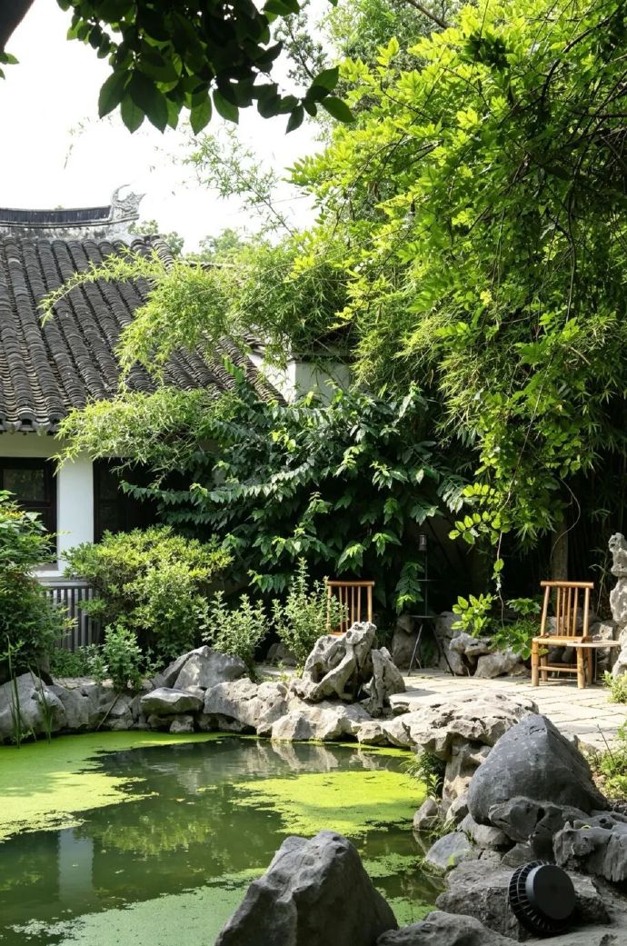是谁打翻了夏日的调色盘？