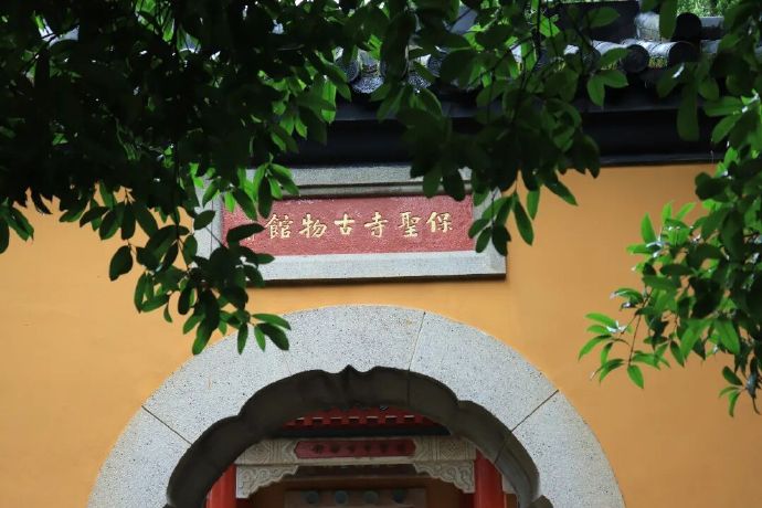 是谁打翻了夏日的调色盘？