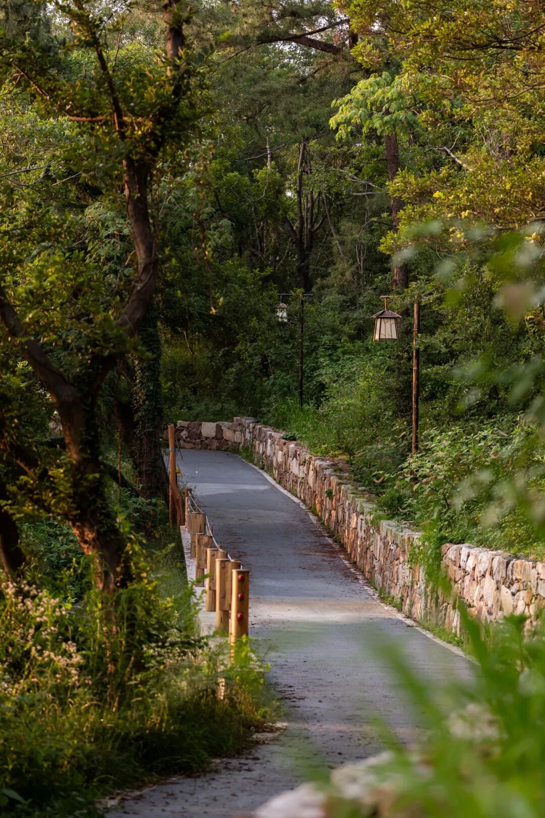 住进古村，让生活靠岸