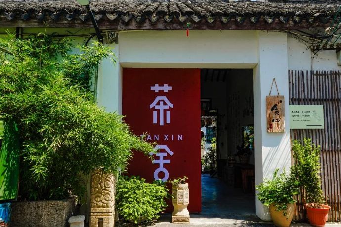 对话主理人！在东山这个小院，“贪心”一夏~