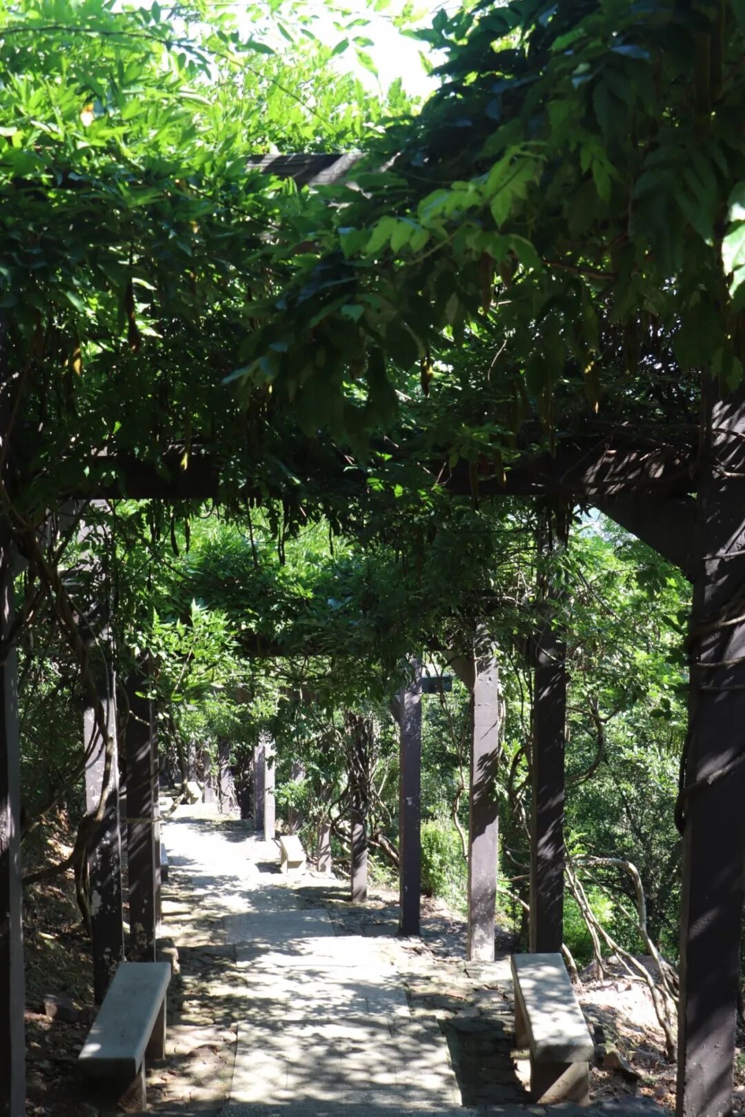 山林深处，天然氧吧