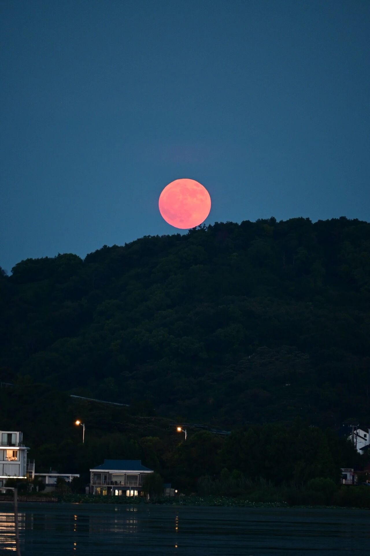 初秋的落日橘，人间浪漫~