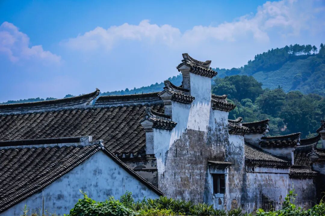 触摸江南本来的样子，解锁“原生感”吴中
