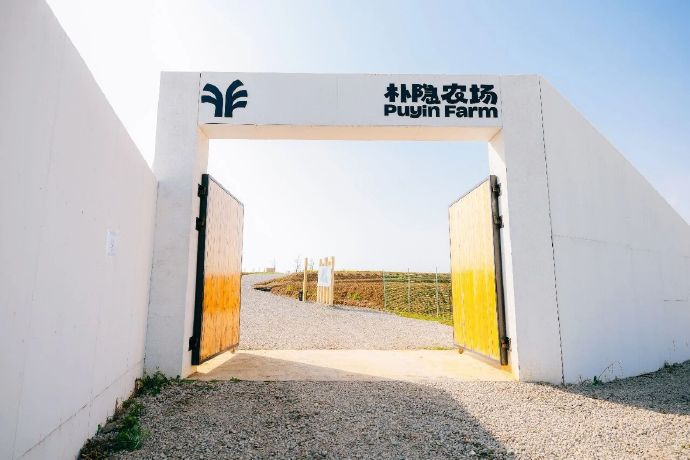 太湖边遛娃胜地！玩到不想回家！
