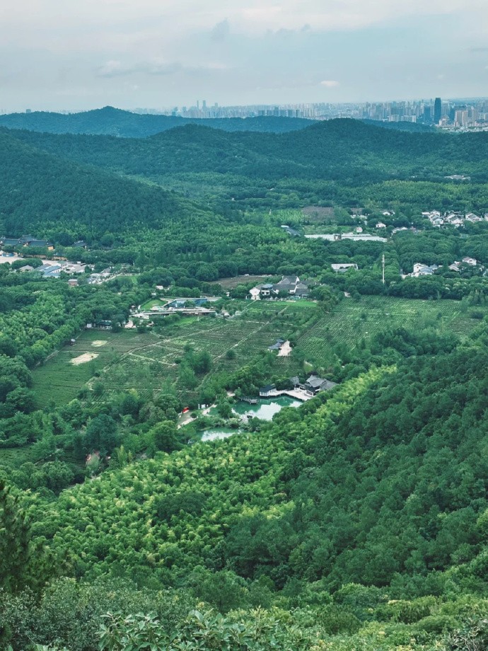 吴中乡村旅游攻略，拉满假期的松弛感！