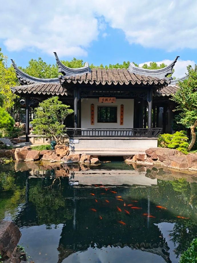 赏桂地图来啦！建议收藏，真的很“香”~