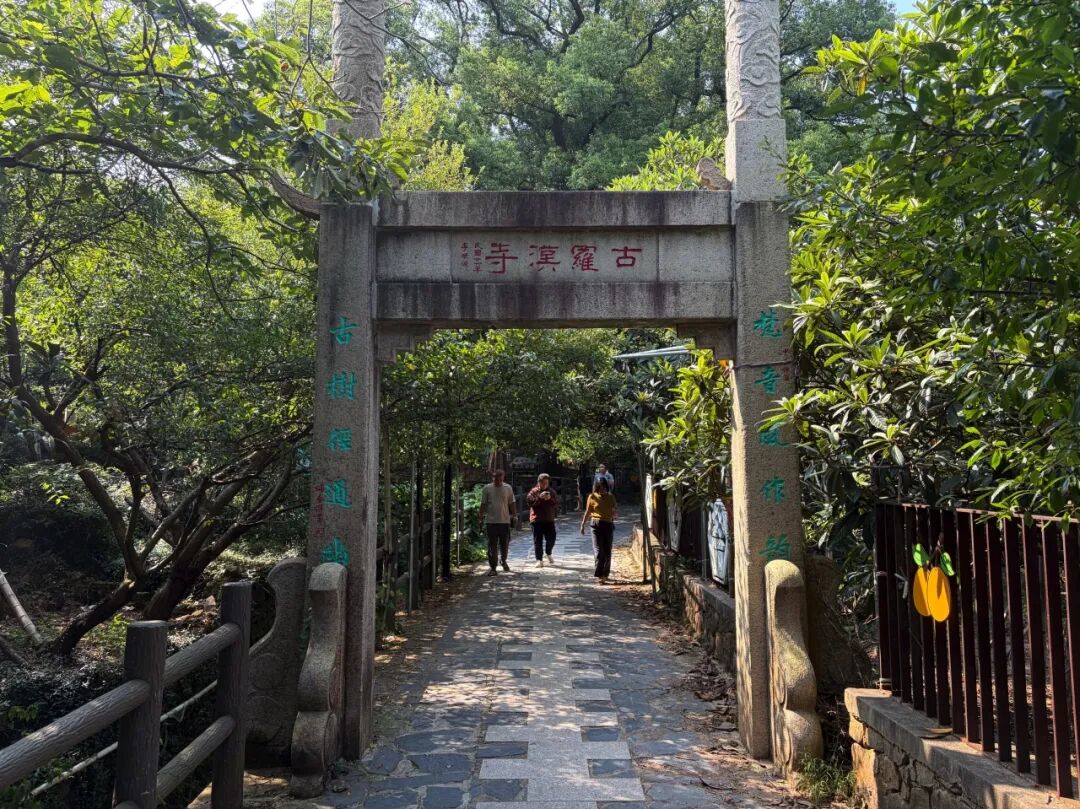 郊野公园+2，风景路+5！吴中喊你进山赏秋～