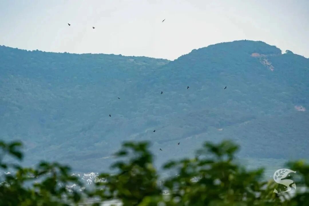 震撼！太湖又一波超“猛”排面拉满！