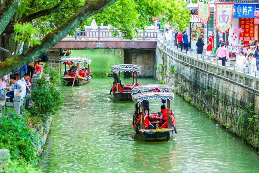 吴中秋日线路快收好！光福桂花香，天平待枫红~