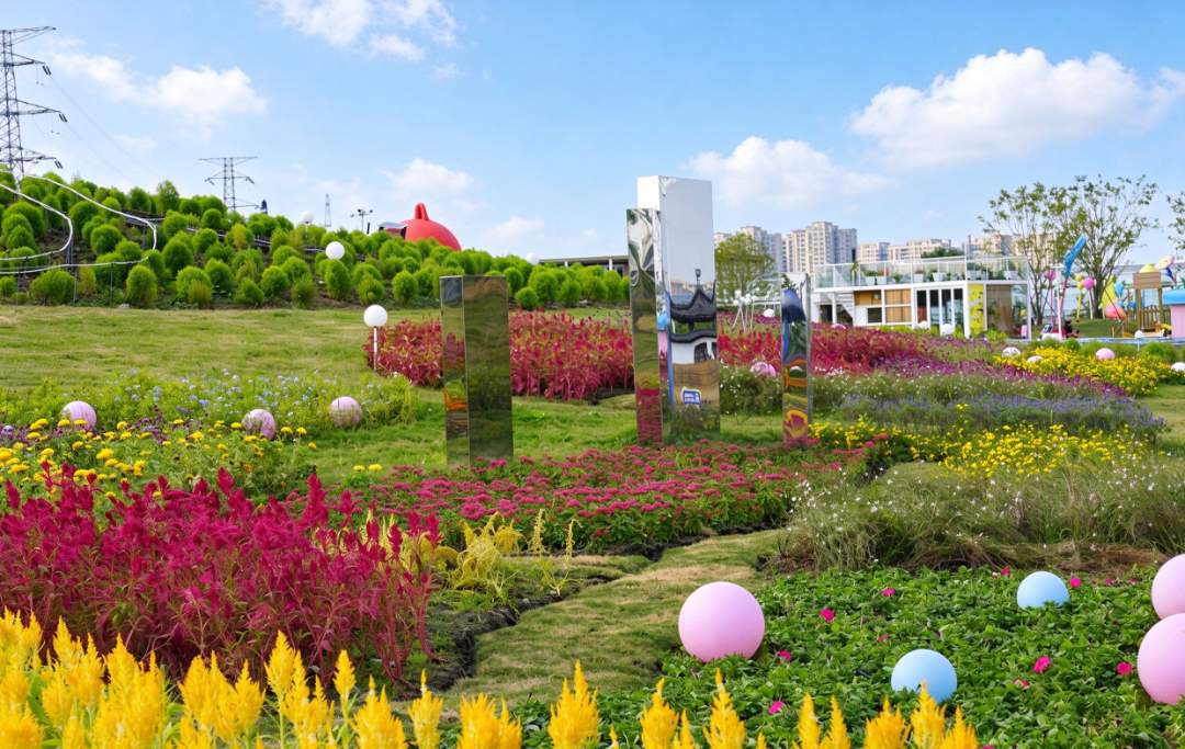 秋色正好，带娃来吴中！赏花、趣跑、割稻、逛花谷～