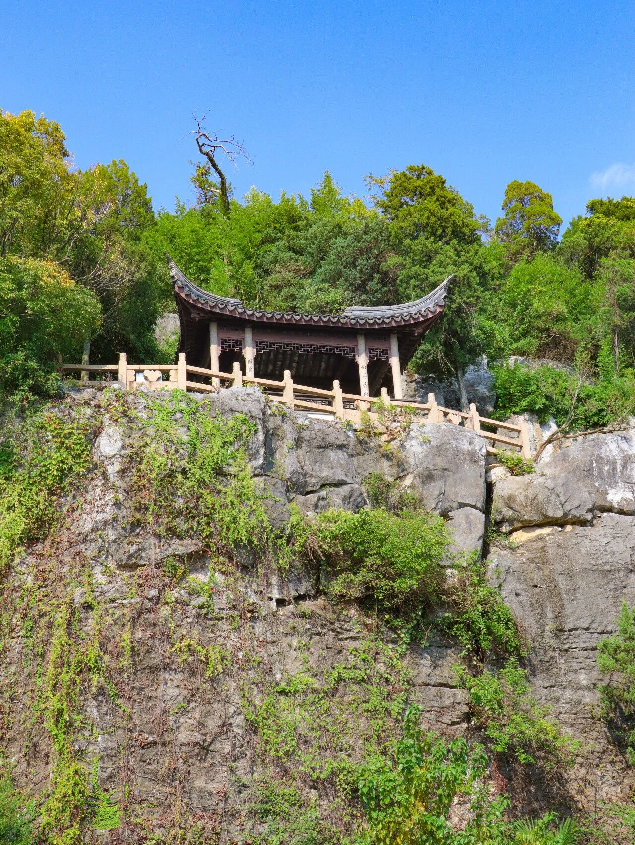 石公山的秋正慢慢铺展开来~