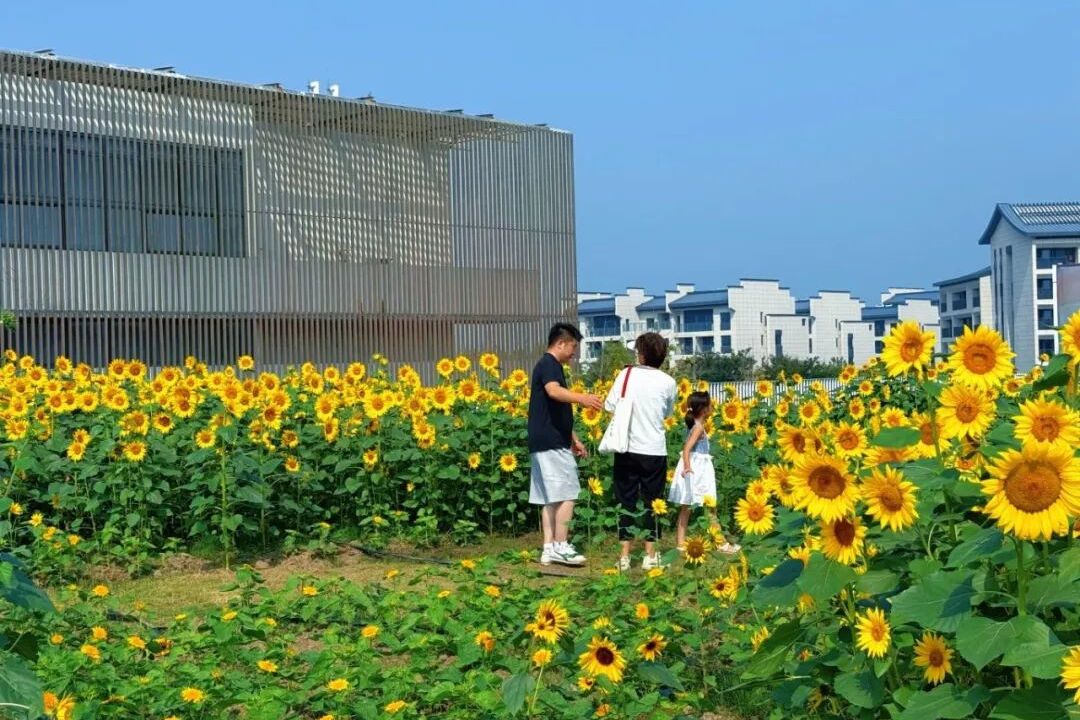 来江南植物园赏一场花海