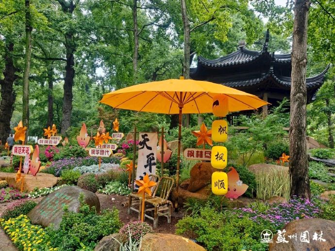 天平山红枫季，渐入佳境，赏枫走起~