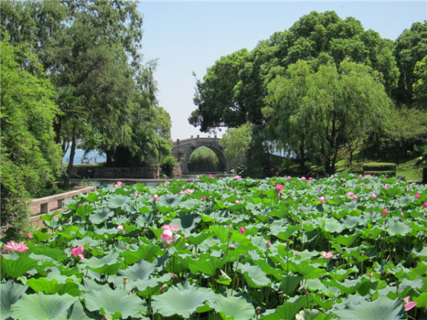 太湖景点图片