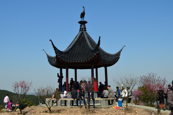 太湖自助游图片