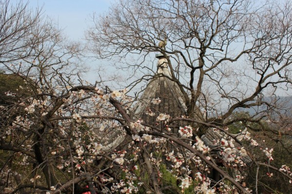 苏州景点图片