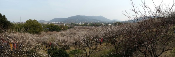 苏州自助游图片