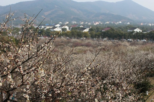 苏州自助游图片