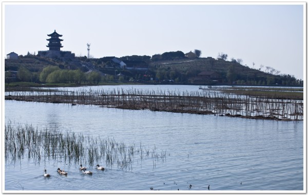 太湖自助游图片