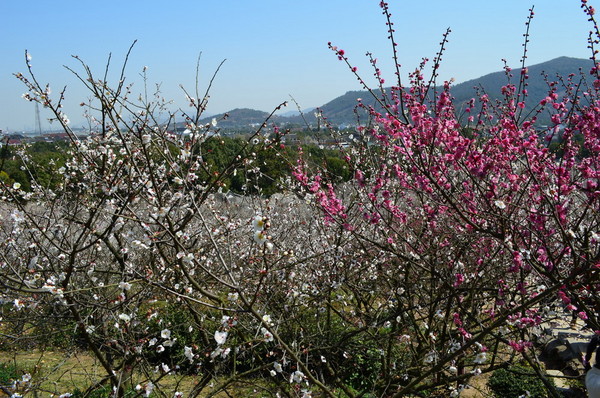 太湖旅游攻略图片