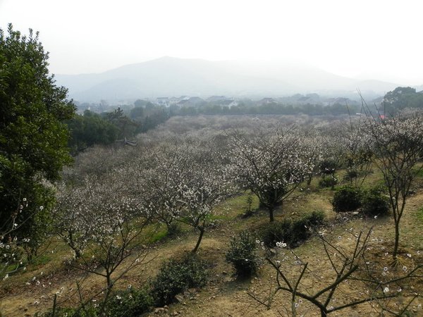 苏州旅游攻略图片