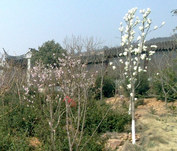 太湖景点图片