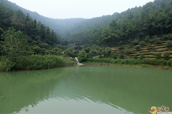 苏州自助游图片