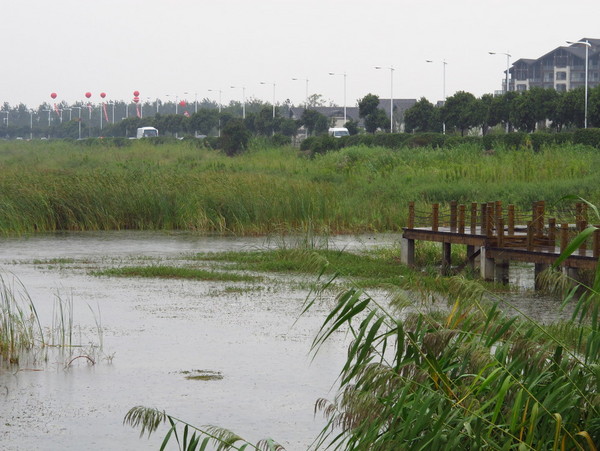 太湖景点图片