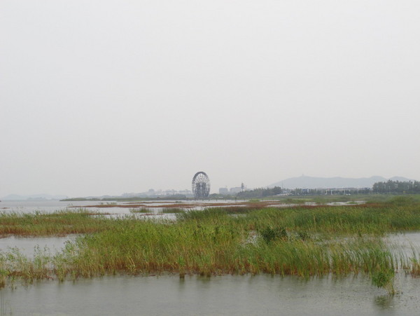 太湖自助游图片